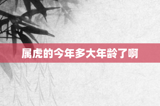属虎的今年多大年龄了啊