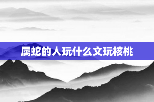 属蛇的人玩什么文玩核桃