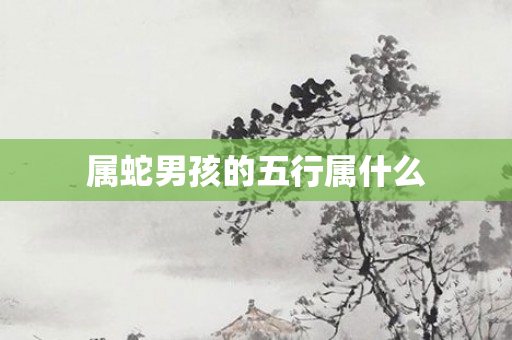 属蛇男孩的五行属什么