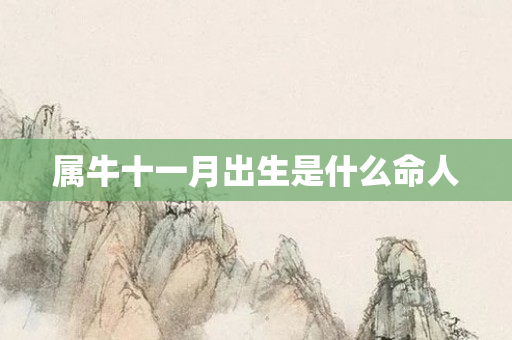 属牛十一月出生是什么命人