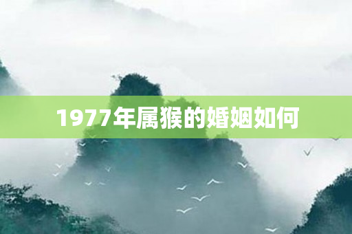 1977年属猴的婚姻如何