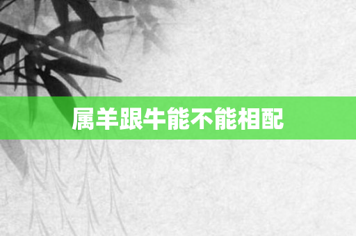 属羊跟牛能不能相配