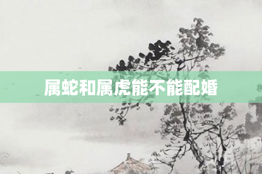 属蛇和属虎能不能配婚