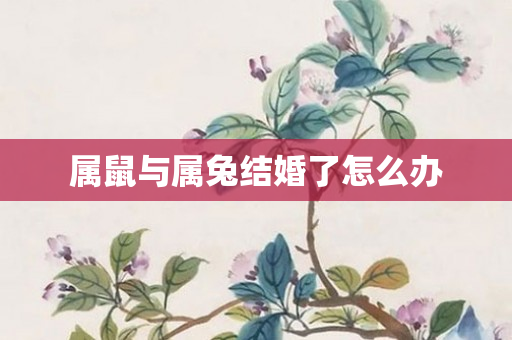 属鼠与属兔结婚了怎么办