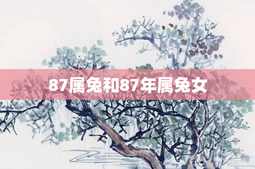 87属兔和87年属兔女