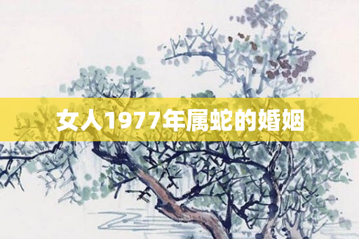 女人1977年属蛇的婚姻