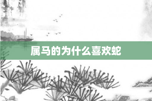 属马的为什么喜欢蛇
