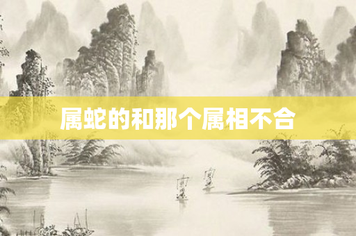 属蛇的和那个属相不合