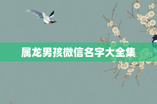 属龙男孩微信名字大全集