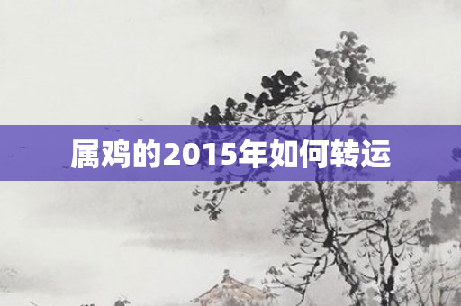属鸡的2015年如何转运