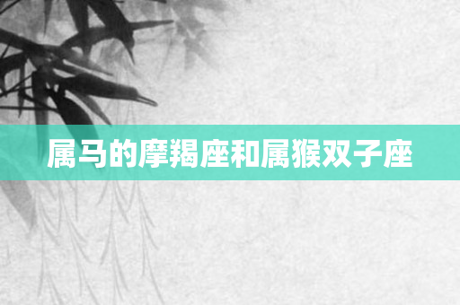属马的摩羯座和属猴双子座