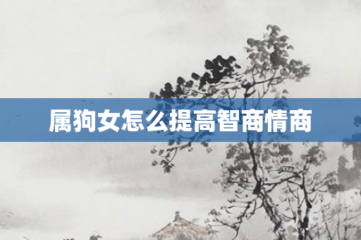 属狗女怎么提高智商情商