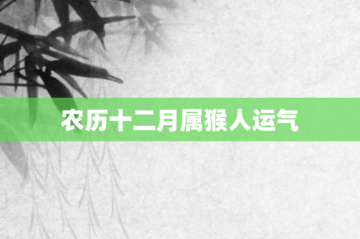 农历十二月属猴人运气