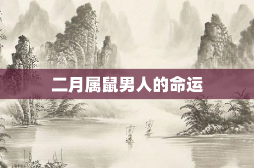 二月属鼠男人的命运