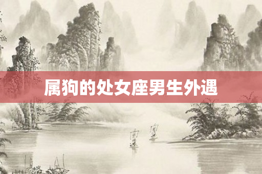 属狗的处女座男生外遇