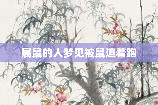属鼠的人梦见被鼠追着跑