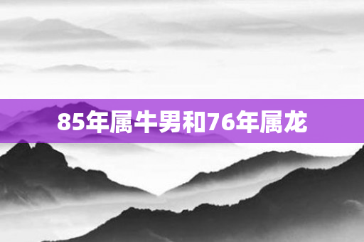85年属牛男和76年属龙