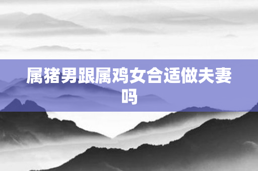 属猪男跟属鸡女合适做夫妻吗