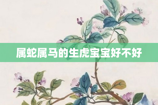 属蛇属马的生虎宝宝好不好