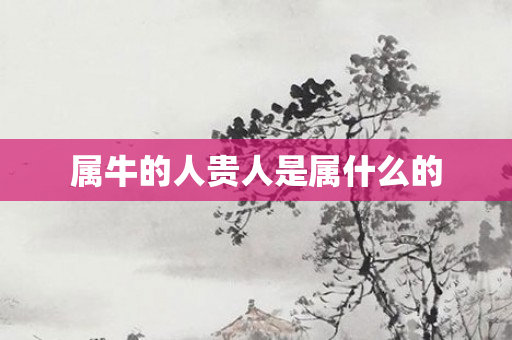 属牛的人贵人是属什么的