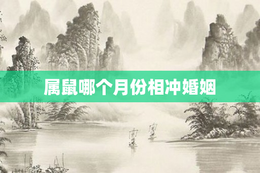 属鼠哪个月份相冲婚姻