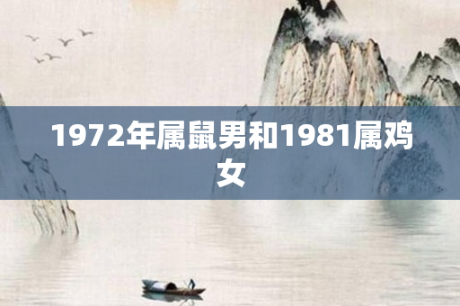 1972年属鼠男和1981属鸡女