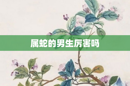 属蛇的男生厉害吗