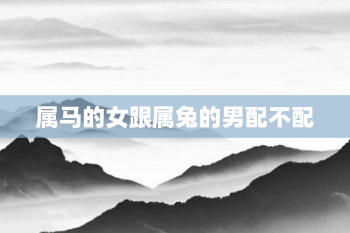 属马的女跟属兔的男配不配