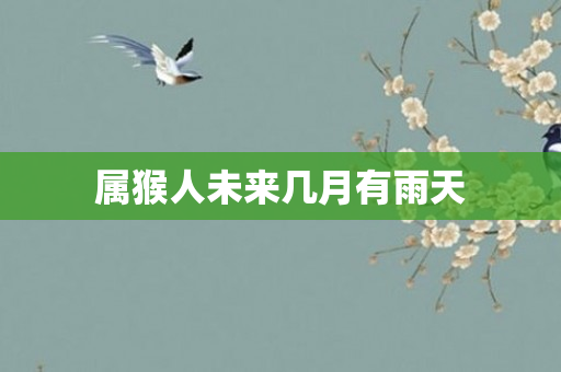 属猴人未来几月有雨天