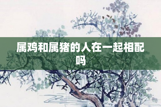 属鸡和属猪的人在一起相配吗