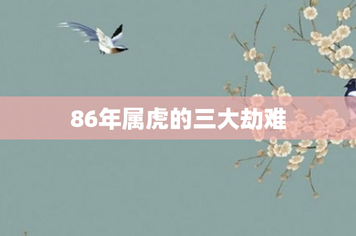 86年属虎的三大劫难