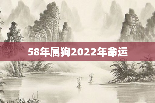 58年属狗2022年命运