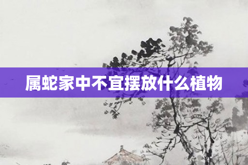 属蛇家中不宜摆放什么植物