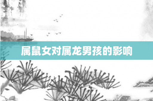 属鼠女对属龙男孩的影响