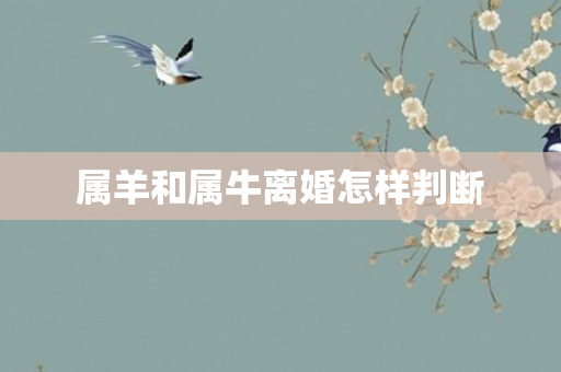 属羊和属牛离婚怎样判断