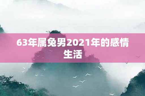 63年属兔男2021年的感情生活