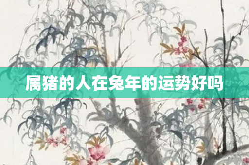 属猪的人在兔年的运势好吗