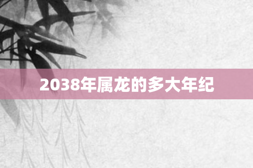 2038年属龙的多大年纪