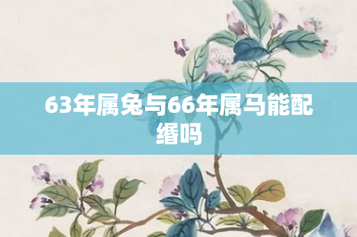 63年属兔与66年属马能配缗吗