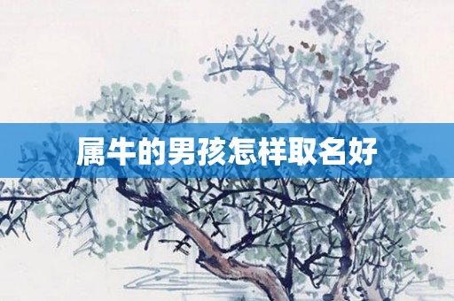 属牛的男孩怎样取名好
