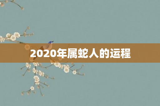 2020年属蛇人的运程