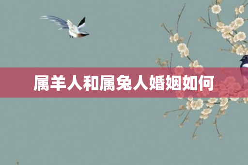 属羊人和属兔人婚姻如何