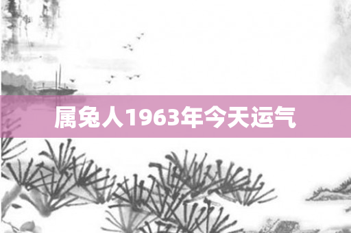 属兔人1963年今天运气