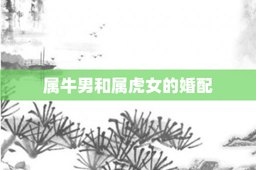 属牛男和属虎女的婚配