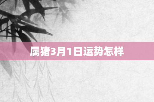 属猪3月1日运势怎样