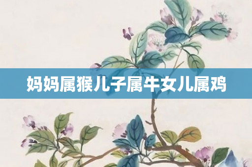 妈妈属猴儿子属牛女儿属鸡