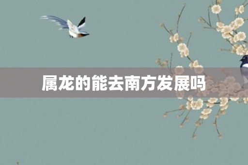 属龙的能去南方发展吗