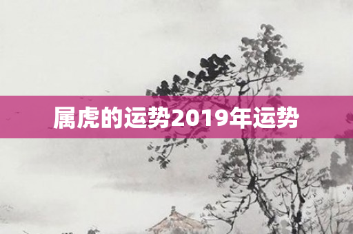 属虎的运势2019年运势