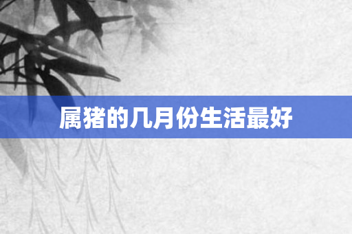 属猪的几月份生活更好