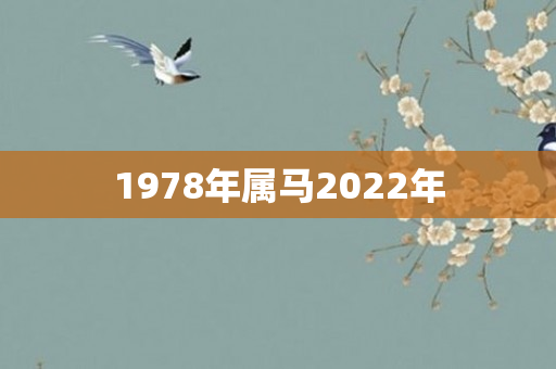 1978年属马2022年